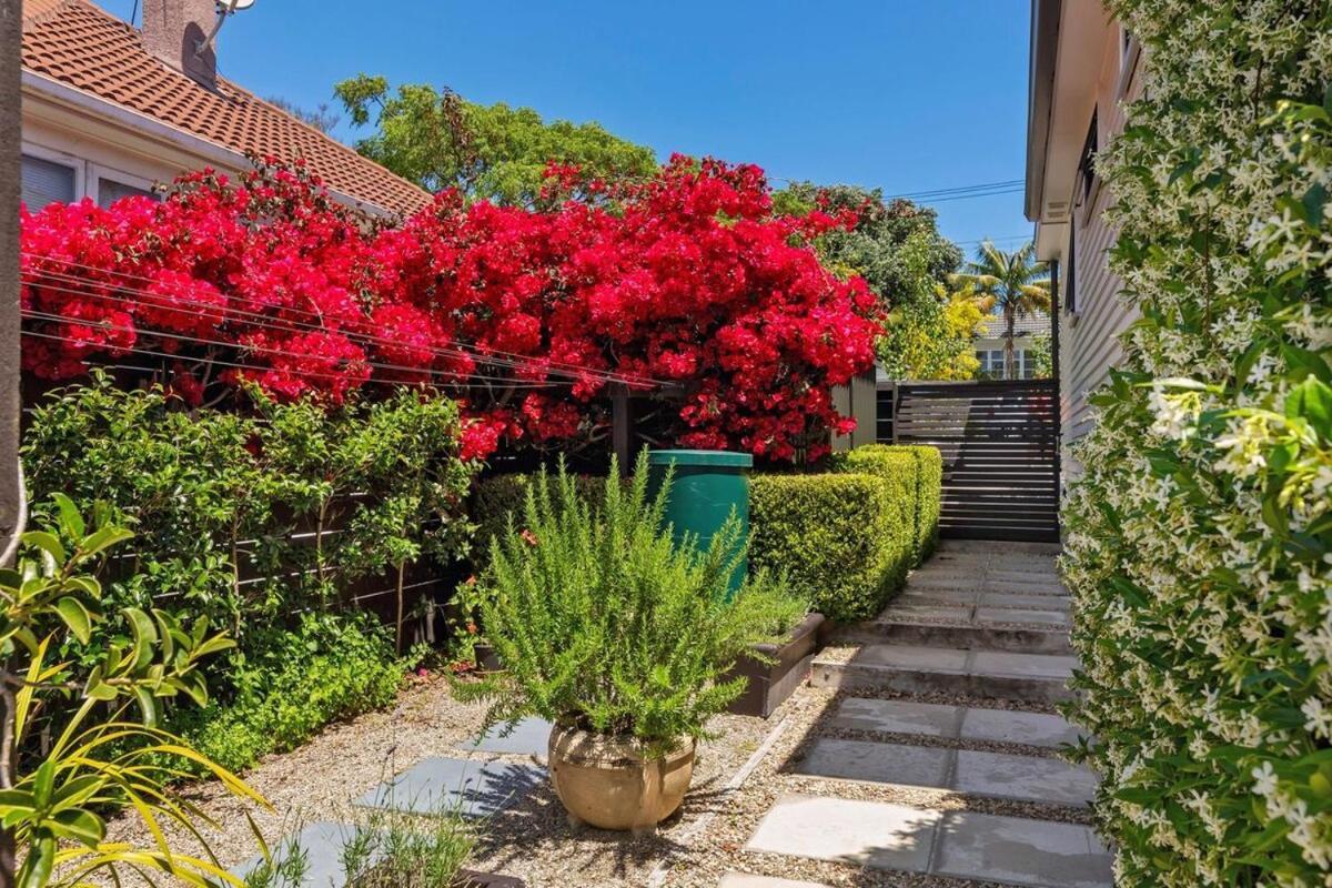 Cozy Close To Cbd & In Westmere * Auckland